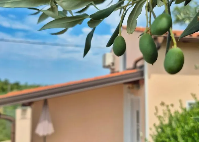 House Barizoni بيت للعطل *