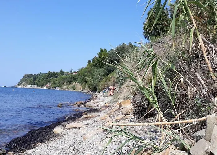 House Barizoni بيت للعطل أنكاران