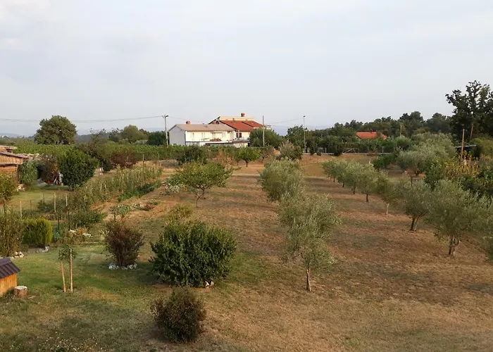 House Barizoni بيت للعطل أنكاران